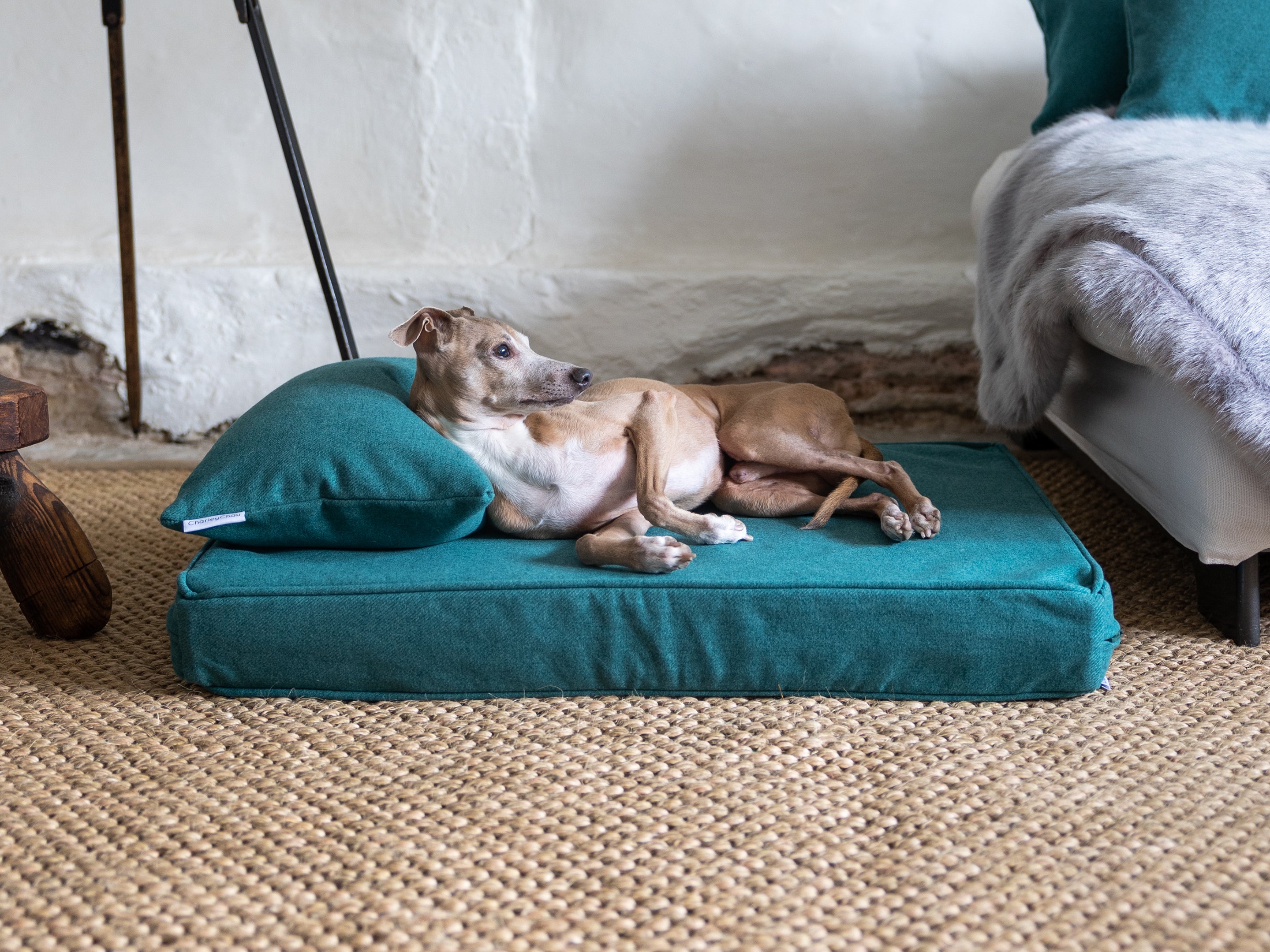 Luxury memory foam dog bed hotsell