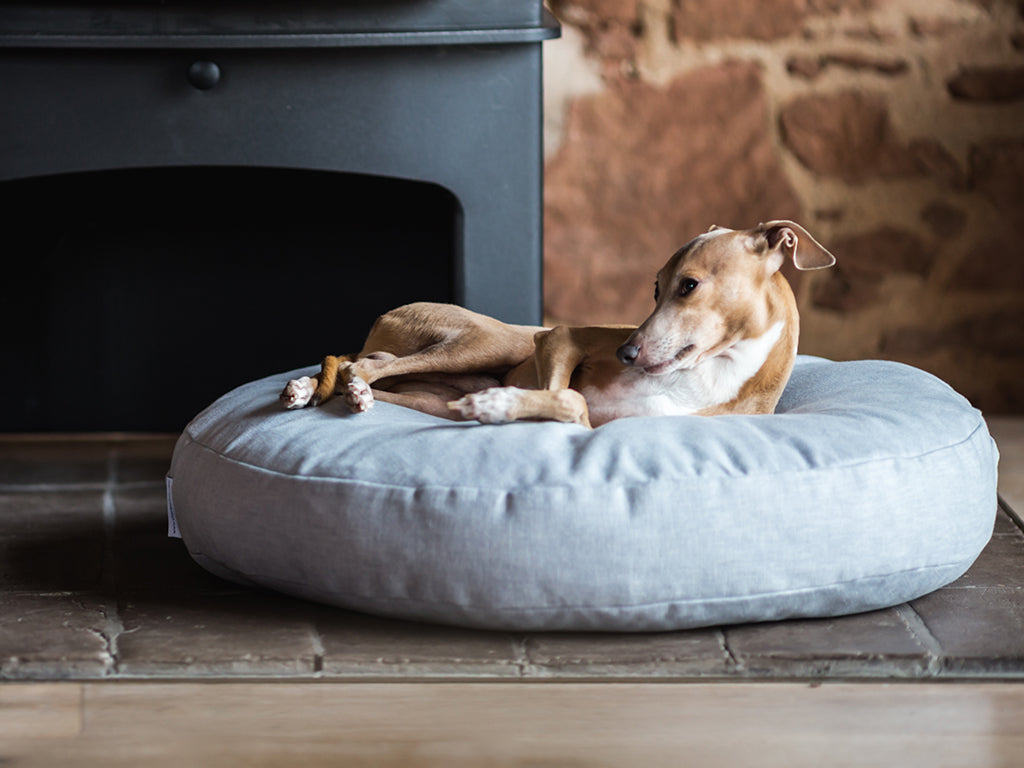 Oval memory foam dog bed insert hotsell