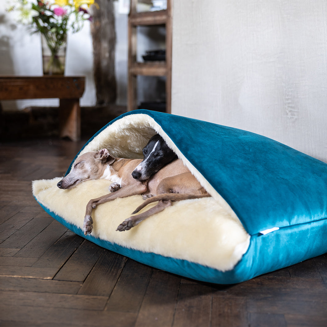 Winter Warm Dog Snuggle Bed Charley Chau luxury dog bedding