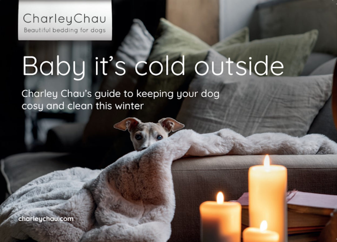 Charley Chau's Cosy & Clean Guide