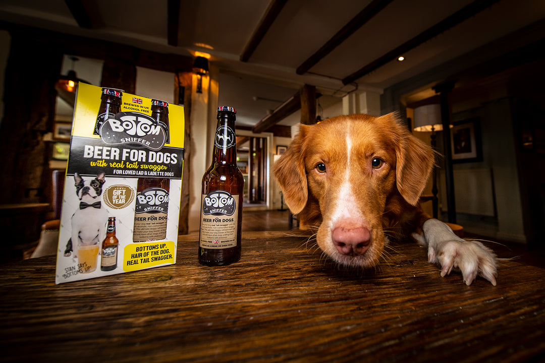 Ten of the Best - Woof & Brew