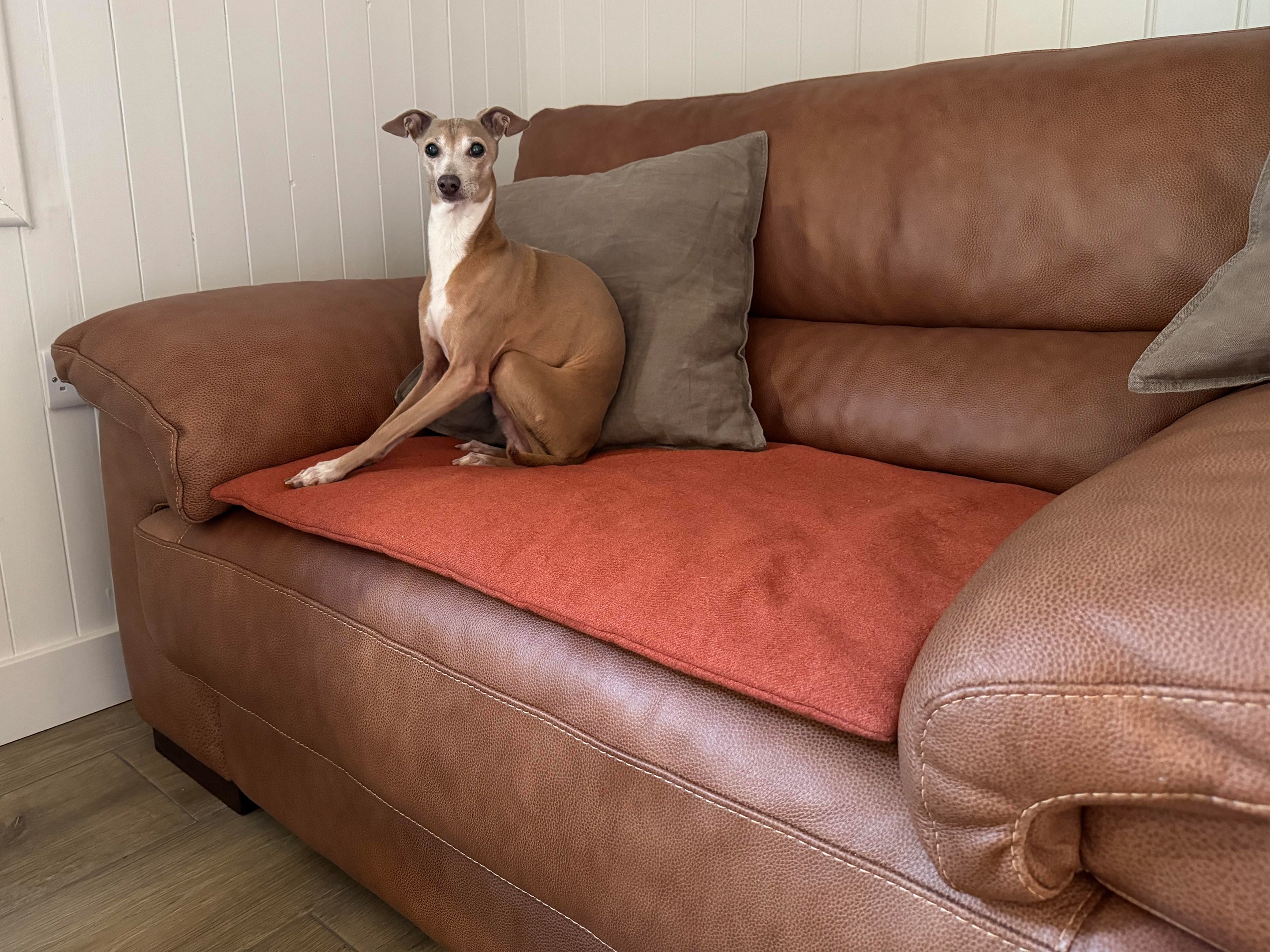 Travel Dog Beds