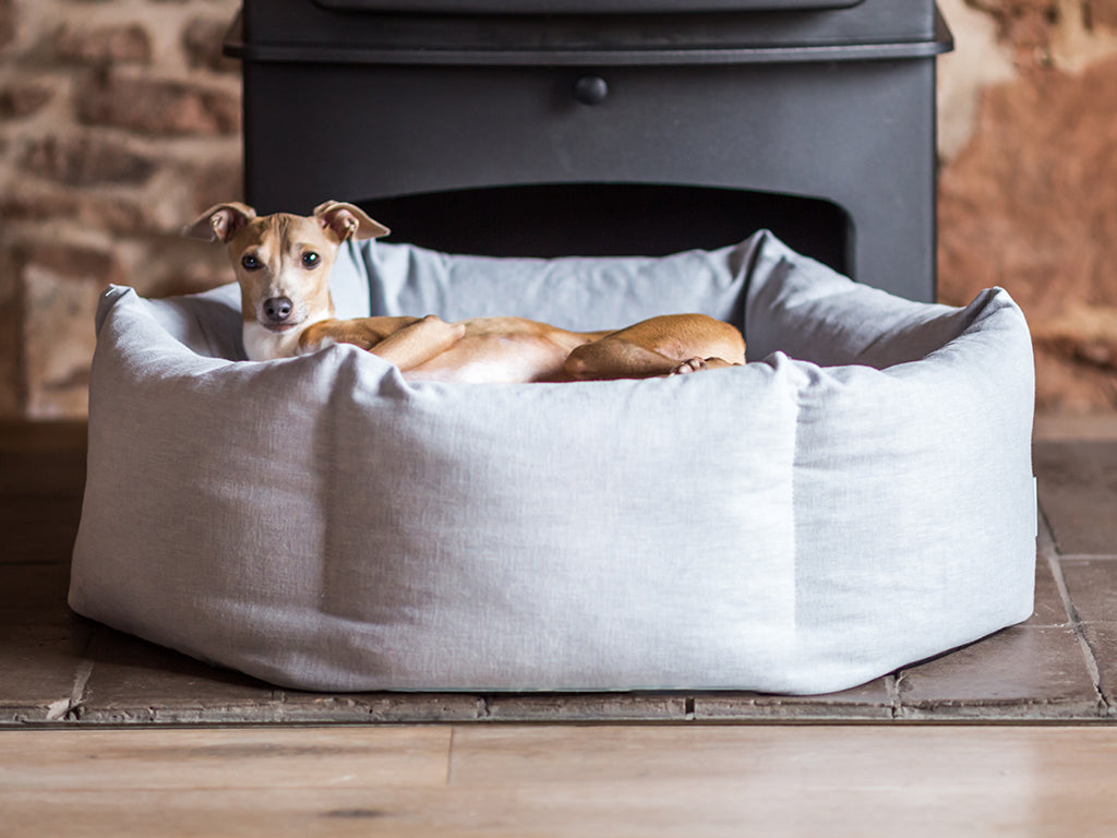 Ducky Donut Dog Beds