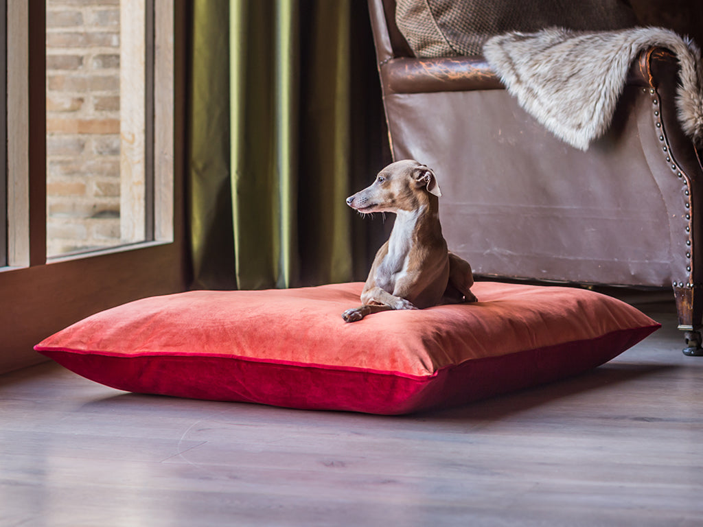 Luxury dog bed mattress in velour tangerine & claret