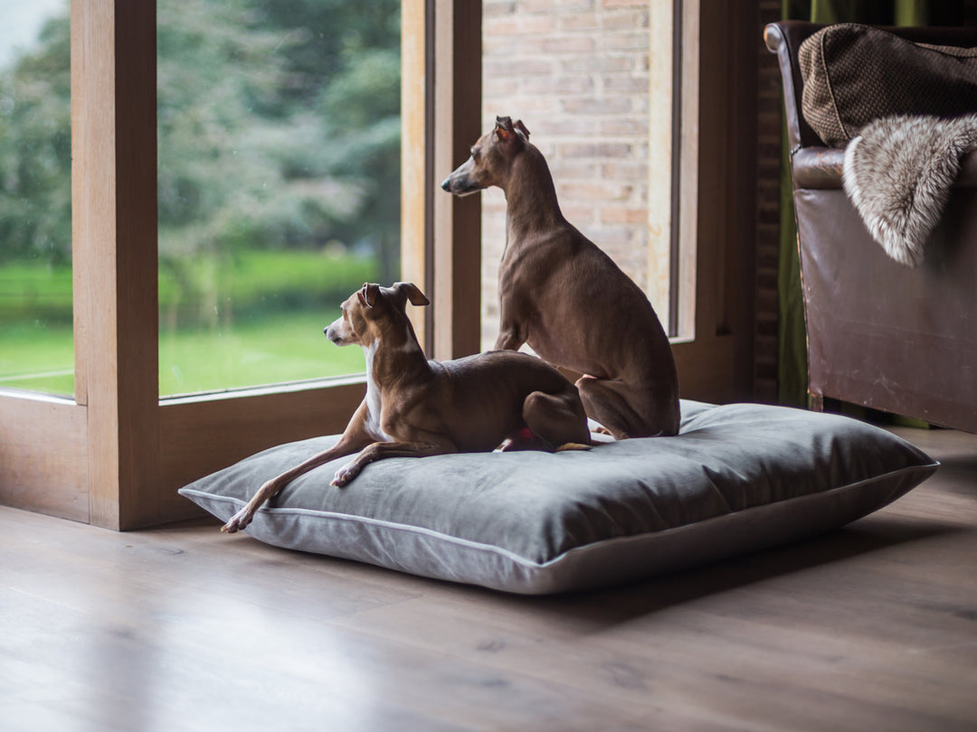 Luxury Dog Bed Mattress by designer Charley Chau