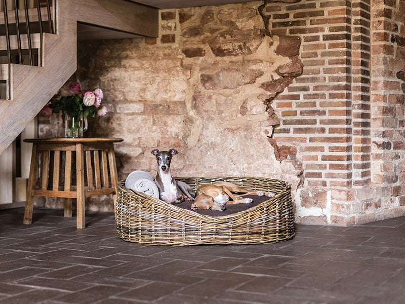 Large wicker dog bed sales baskets