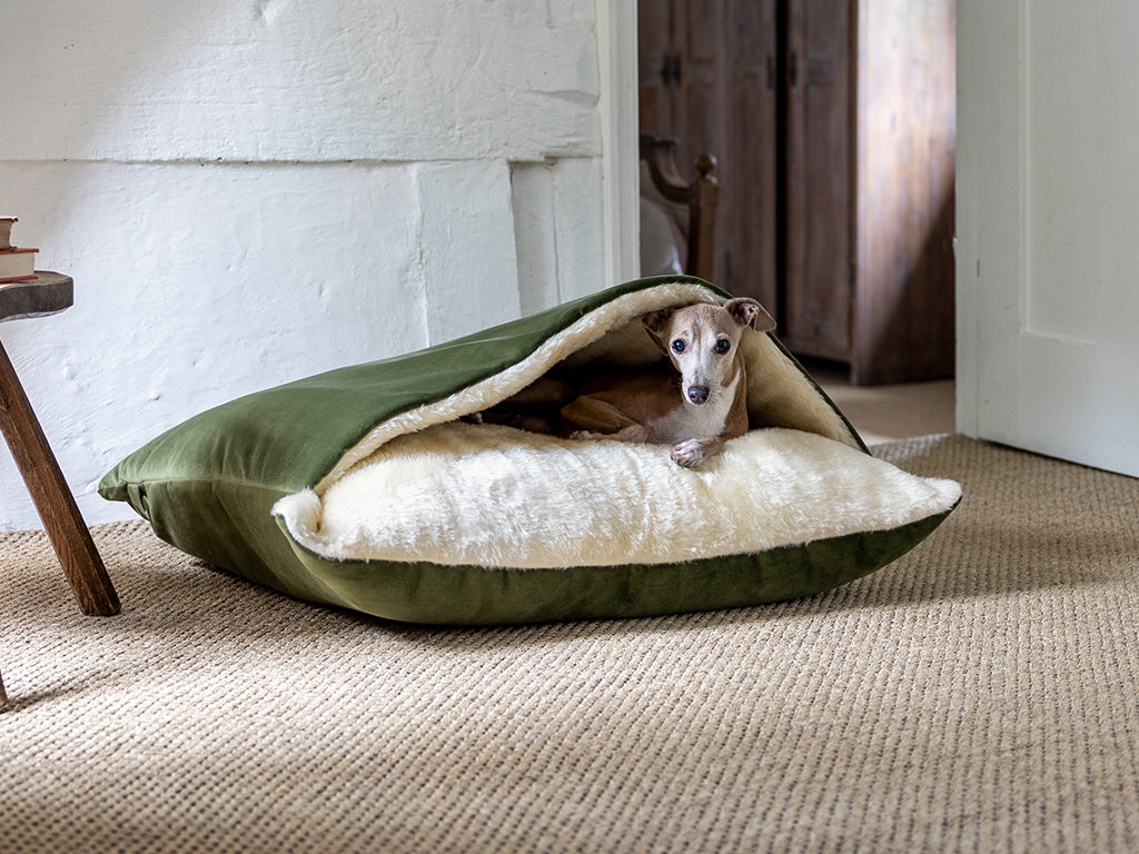 Dog Snuggle Beds & Dog Burrow Bags