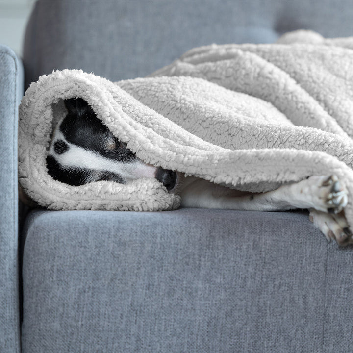 Sherpa Fleece Dog Blanket