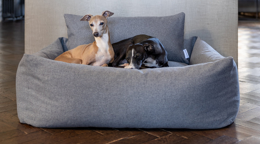 Luxury Bliss Bolster Dog Bed by Charley Chau