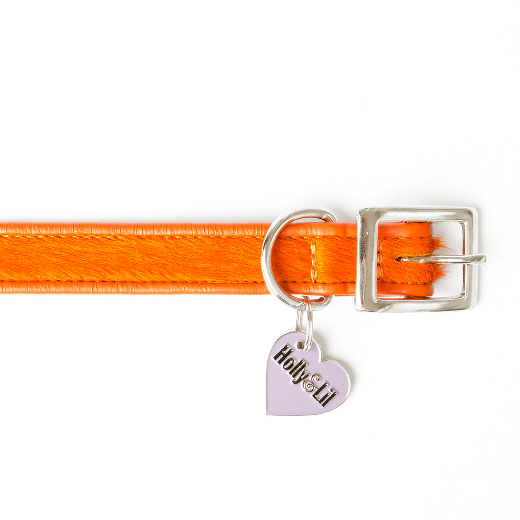 Holly&Lil Brightside Classic Slim dog Collar