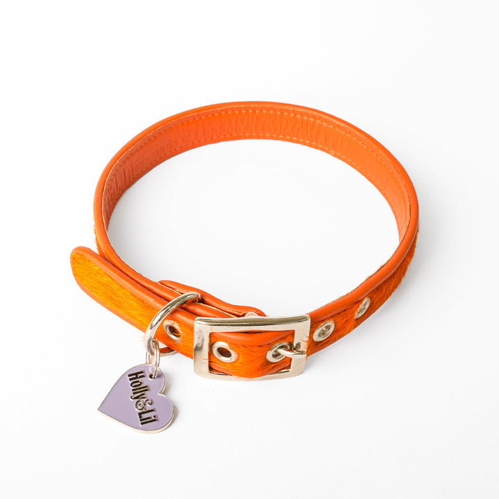 Holly&Lil Brightside Classic Slim dog Collar