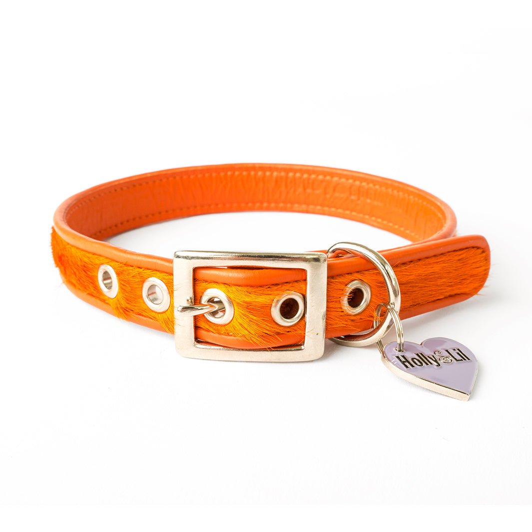 Holly&Lil Brightside Classic Slim dog Collar