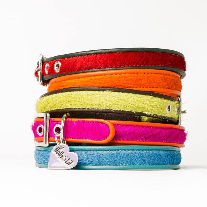 Holly&Lil Brightside Classic Slim dog Collar