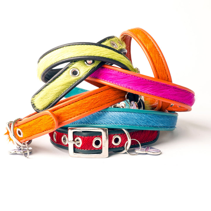 Holly&Lil Brightside Classic Slim dog Collar