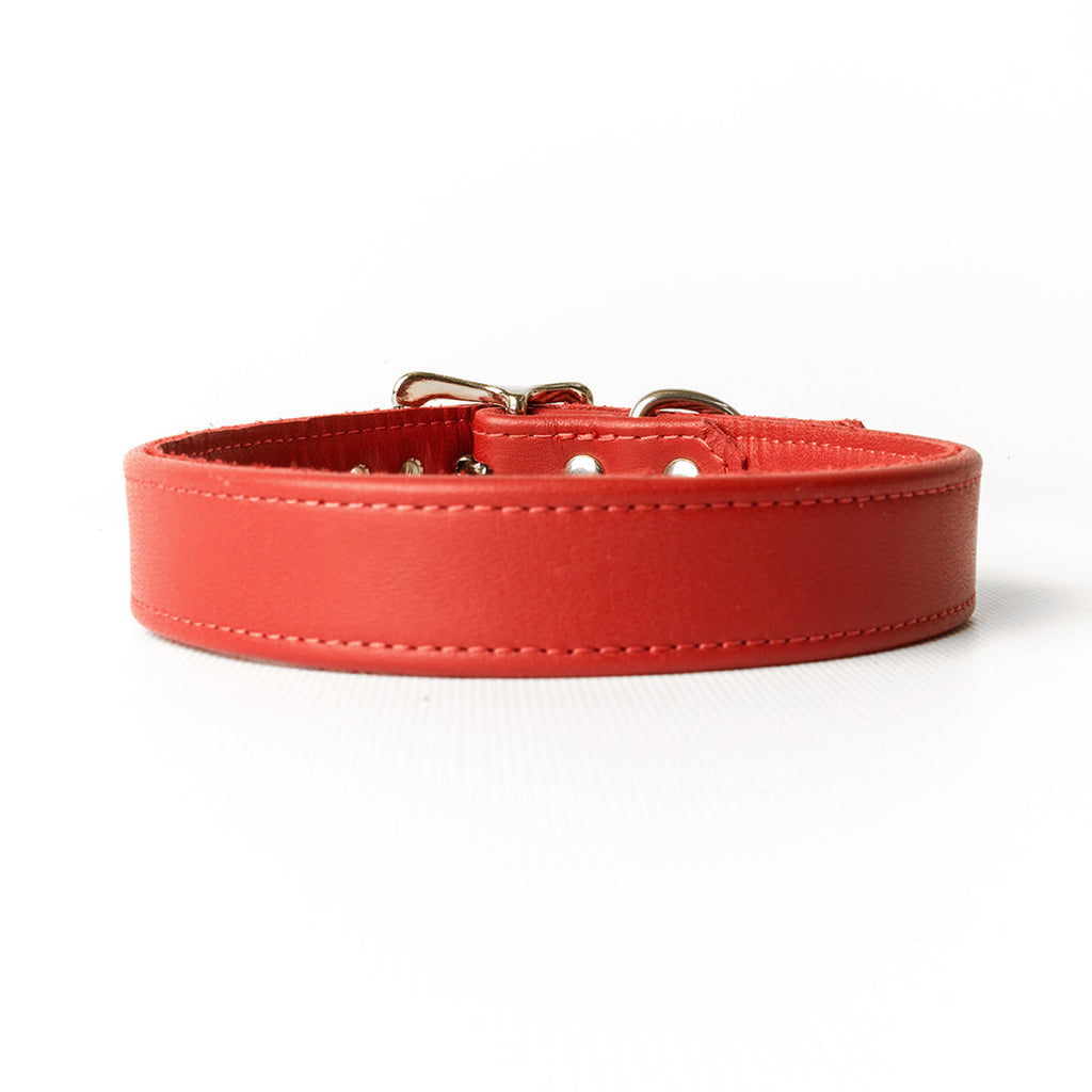 Leather puppy collar best sale