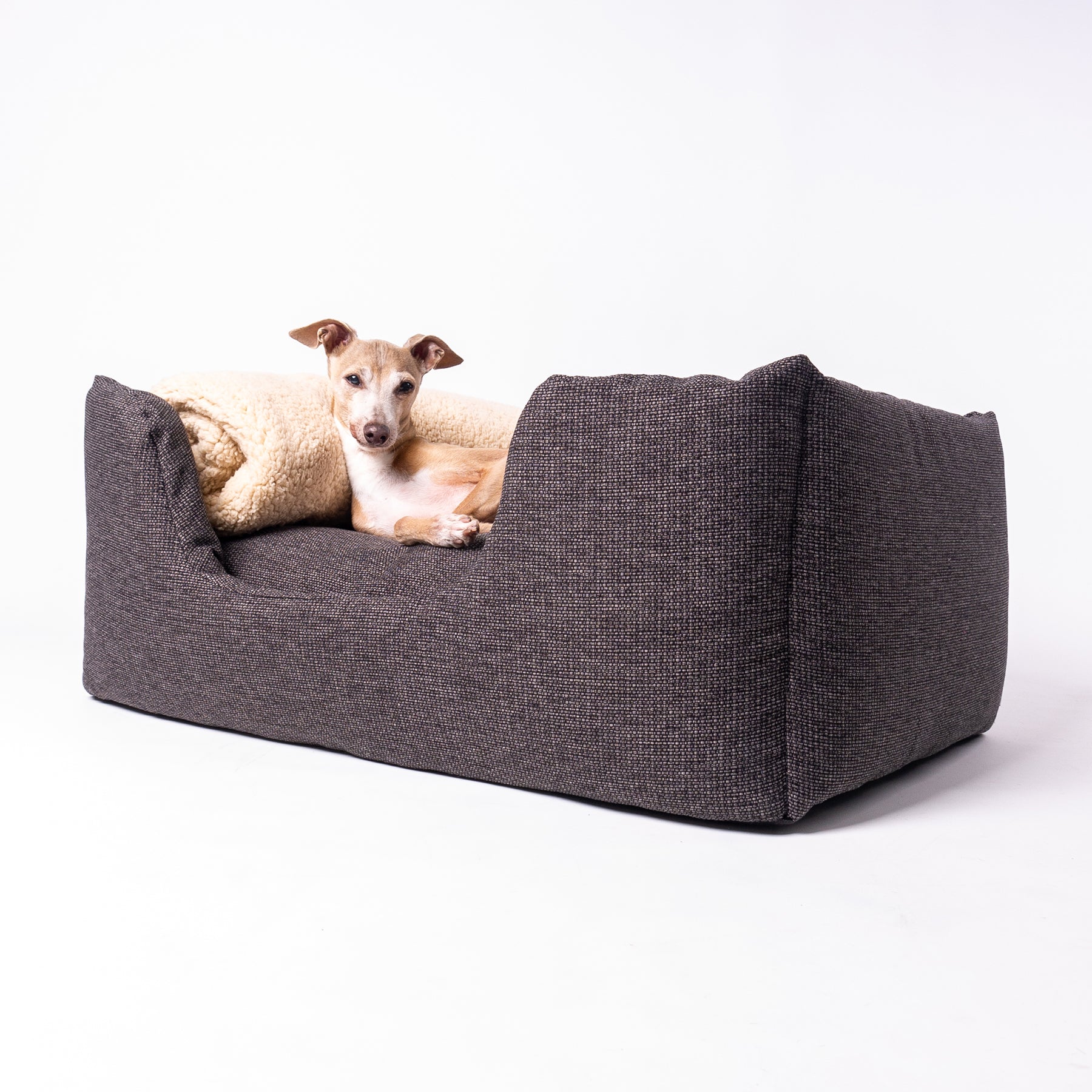 Designer dog beds hotsell