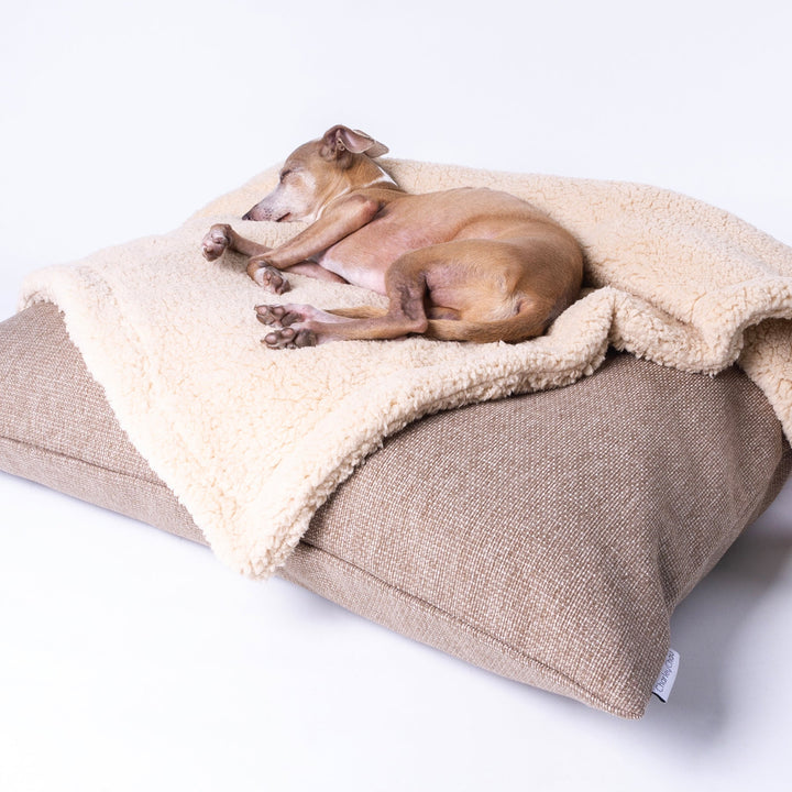 Luxury Dog Bed Mattress deep-filled to stay supportive over time. Shown in Weave II, a textured weave that is resistant to wear. Teamed with a Sherp Fleece Dog Blanket.