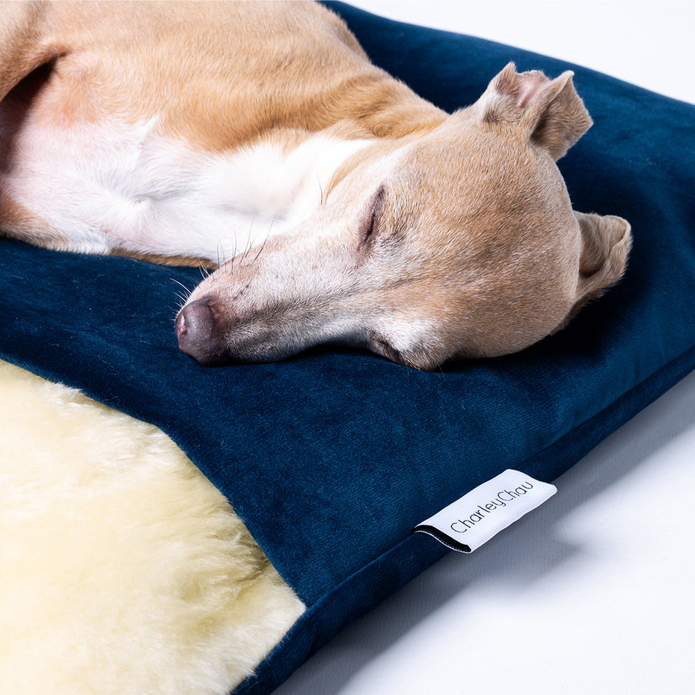 Charley Chau Sleeping Bag for Dogs - Burrow Bag in Velvet Velour