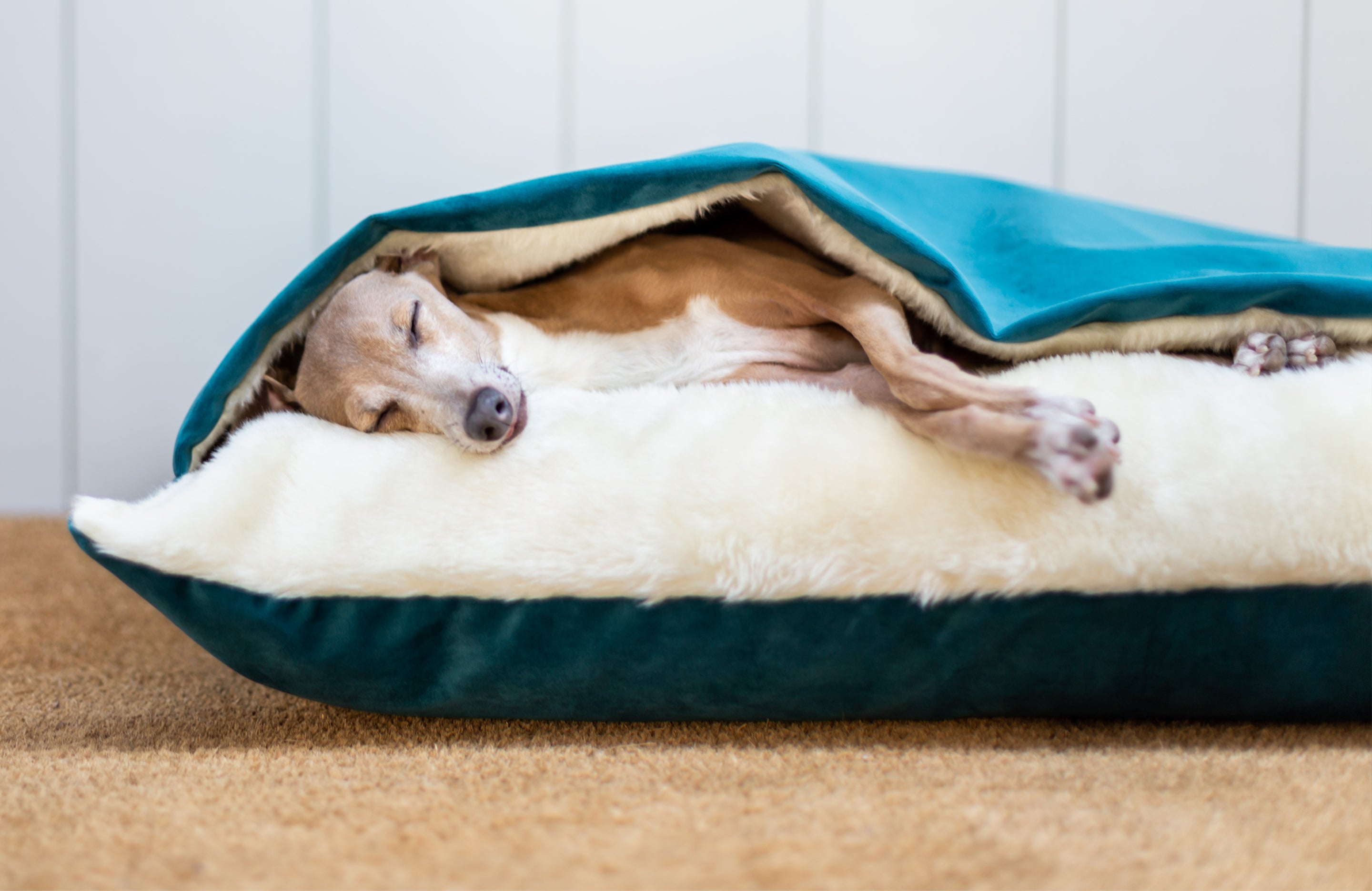 Charley Chau luxury dog bed-  Dog Snuggle Bed in Teal Velvet