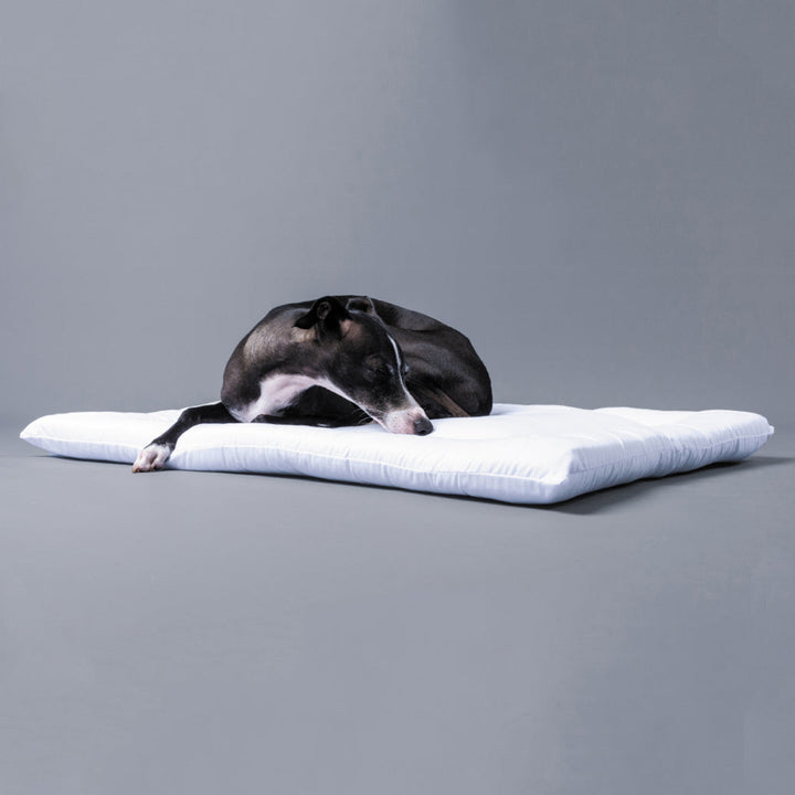 Spare Travel Dog Bed Mattress-  Travel pad Insert 