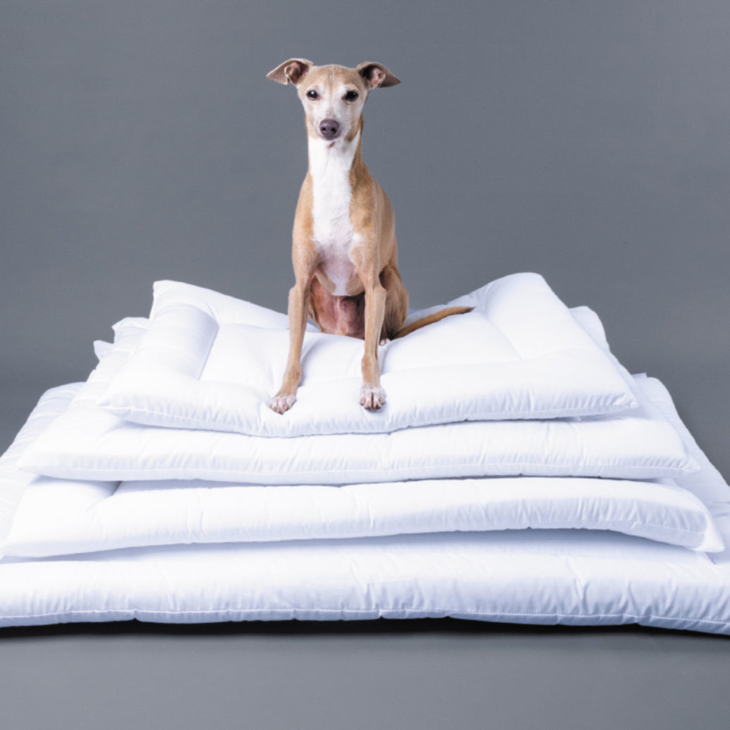 Spare Travel Dog Bed Mattress-  Travel pad Insert 