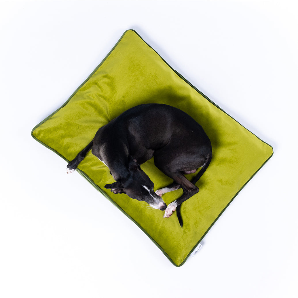 Charley Chau Luxury Dog Travel Pad in Velvet Velour