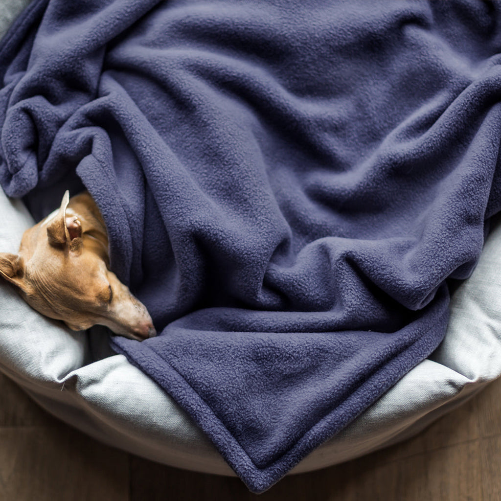 Navy dog blanket sale