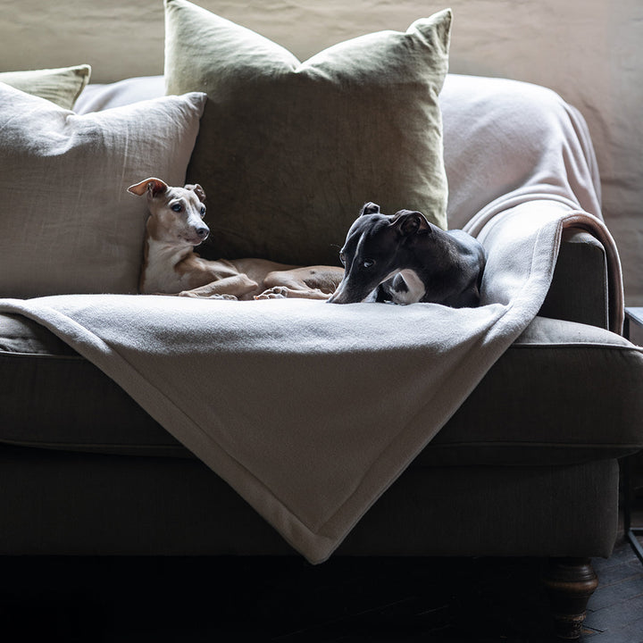 Charley Chau Luxury Double Fleece Dog Blanket