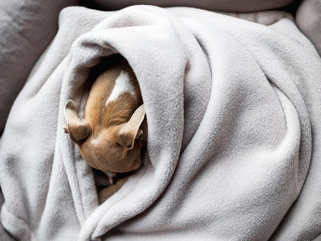Charley Chau - Luxury Dog Beds & Dog Blankets — Charley Chau - Luxury ...