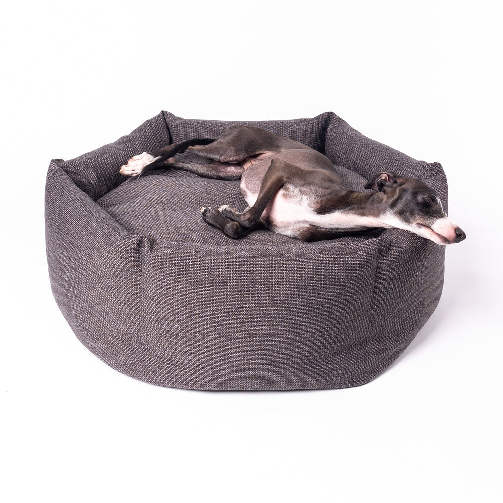 Luxury donut dog bed by designer Charley Chau - the Ducky Donut Dog Bed. The sides are filled with ethically sourced duck feathers. Shown with an Italian Greyhound sleeping in the bed.