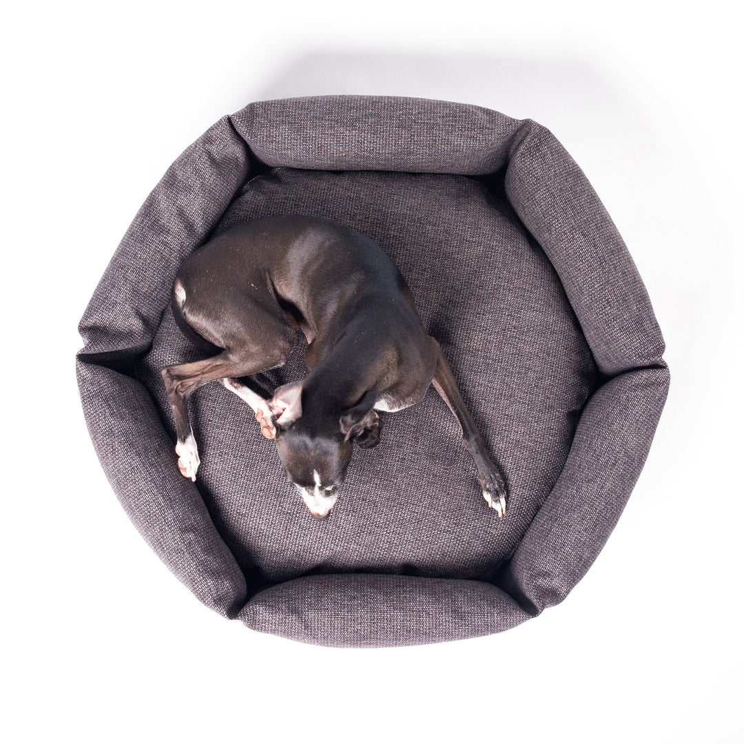 Luxury donut dog bed by designer Charley Chau - the Ducky Donut Dog Bed, shown with an Italian Greyhound dog lying in it. 