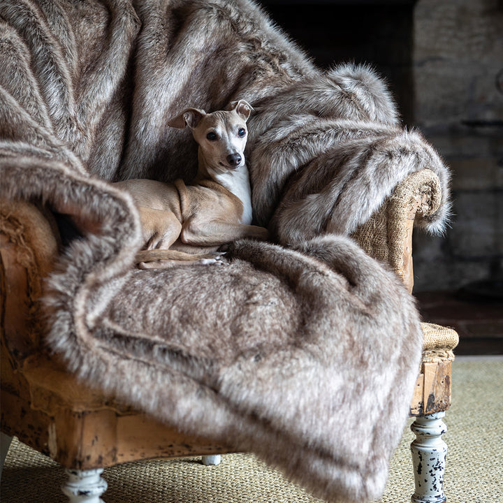 Faux-Fur Dog Blanket in Foxy