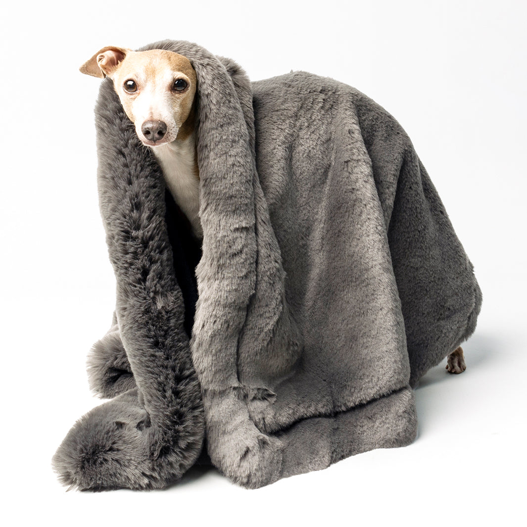 Charley Chau Luxury Faux-Fur Dog Blanket