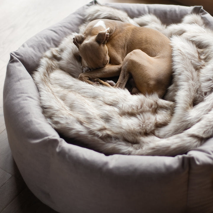 Charley Chau Luxury Faux-Fur Dog Blanket