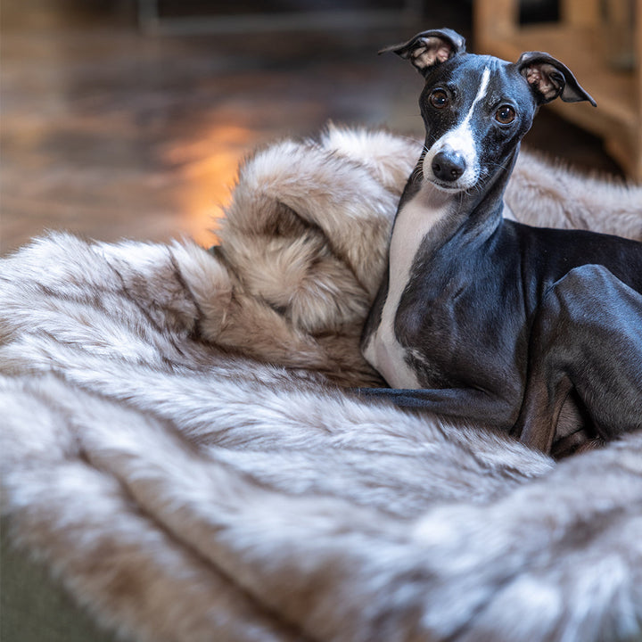 Charley Chau Luxury Faux-Fur Dog Blanket