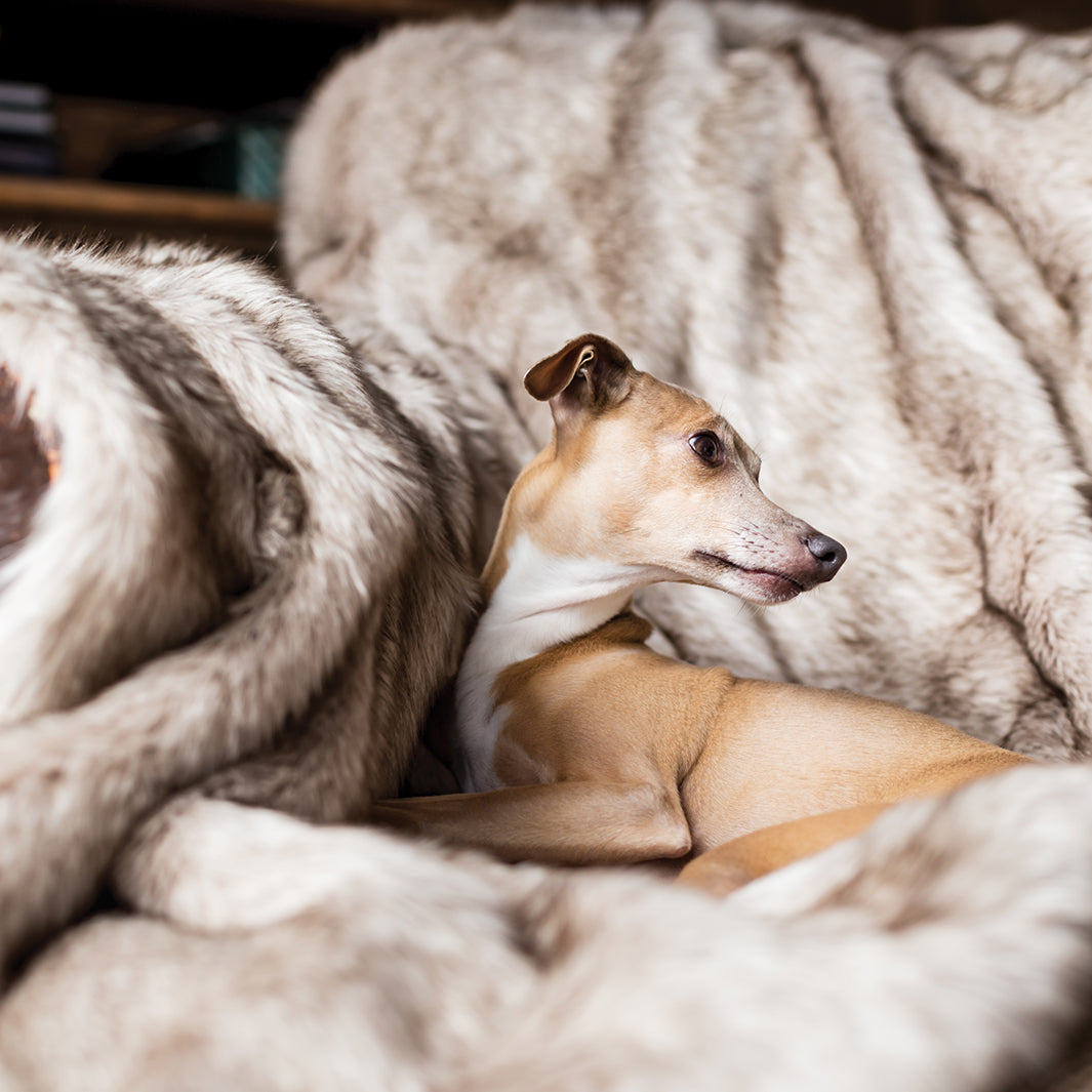 Charley Chau Luxury Faux-Fur Dog Blanket