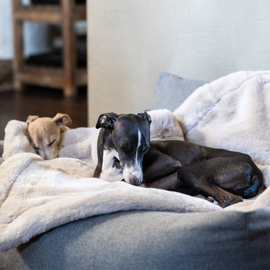 Charley Chau Luxury Faux-Fur Dog Blanket