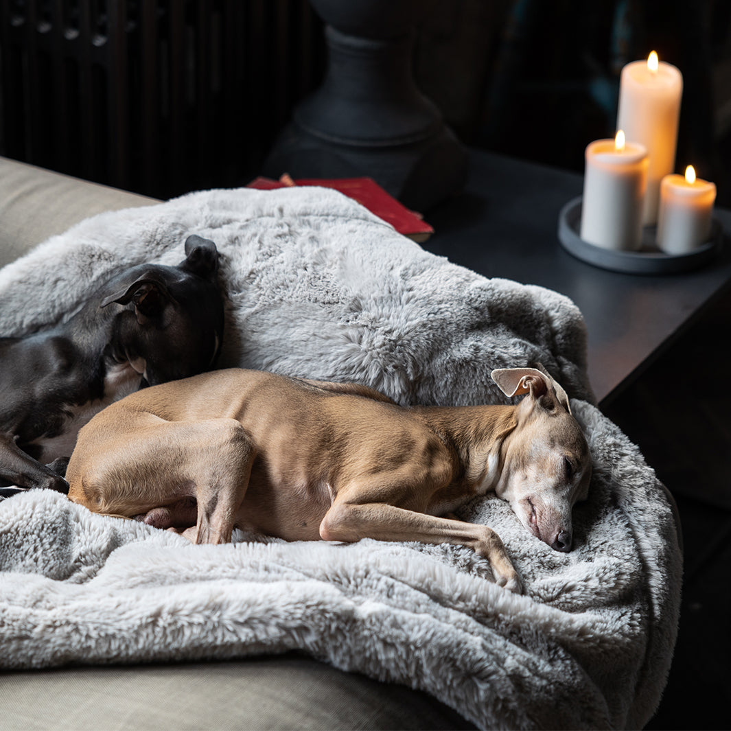 Charley Chau Luxury Faux-Fur Dog Blanket