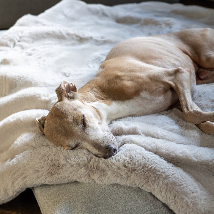 Charley Chau Luxury Faux-Fur Dog Blanket