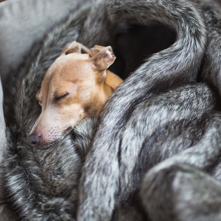 Charley Chau Luxury Faux-Fur Dog Blanket