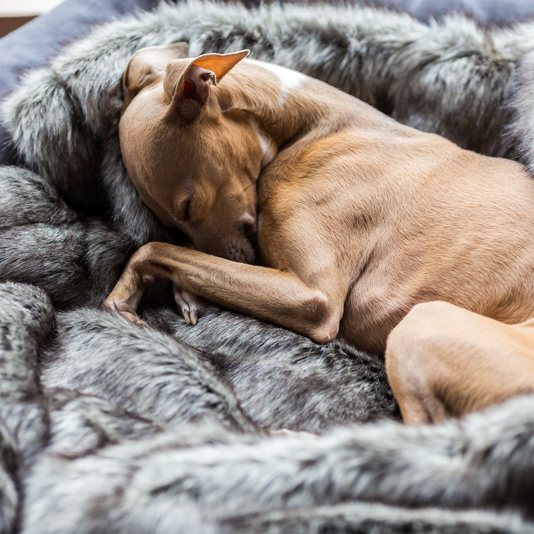 Charley Chau Luxury Faux-Fur Dog Blanket