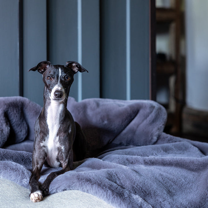 Charley Chau Luxury Faux-Fur Dog Blanket