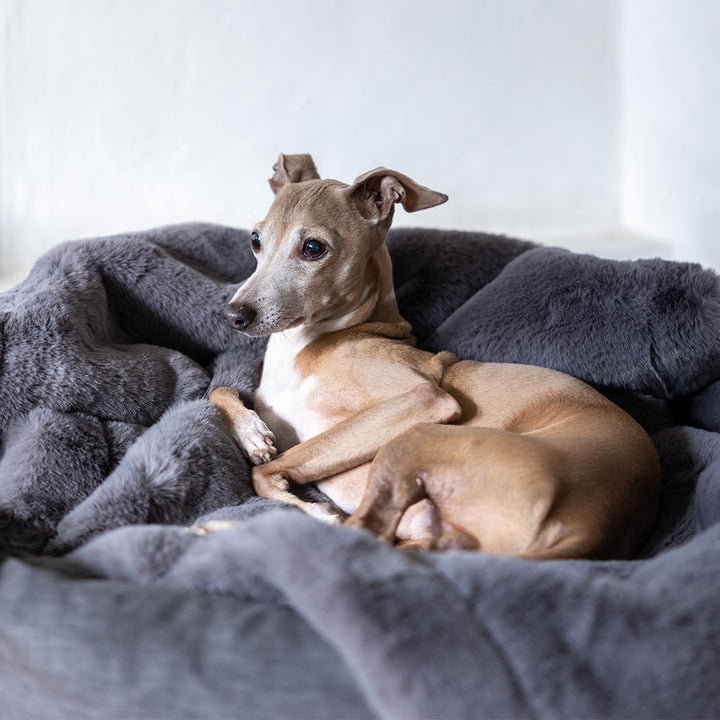 Charley Chau Luxury Faux-Fur Dog Blanket