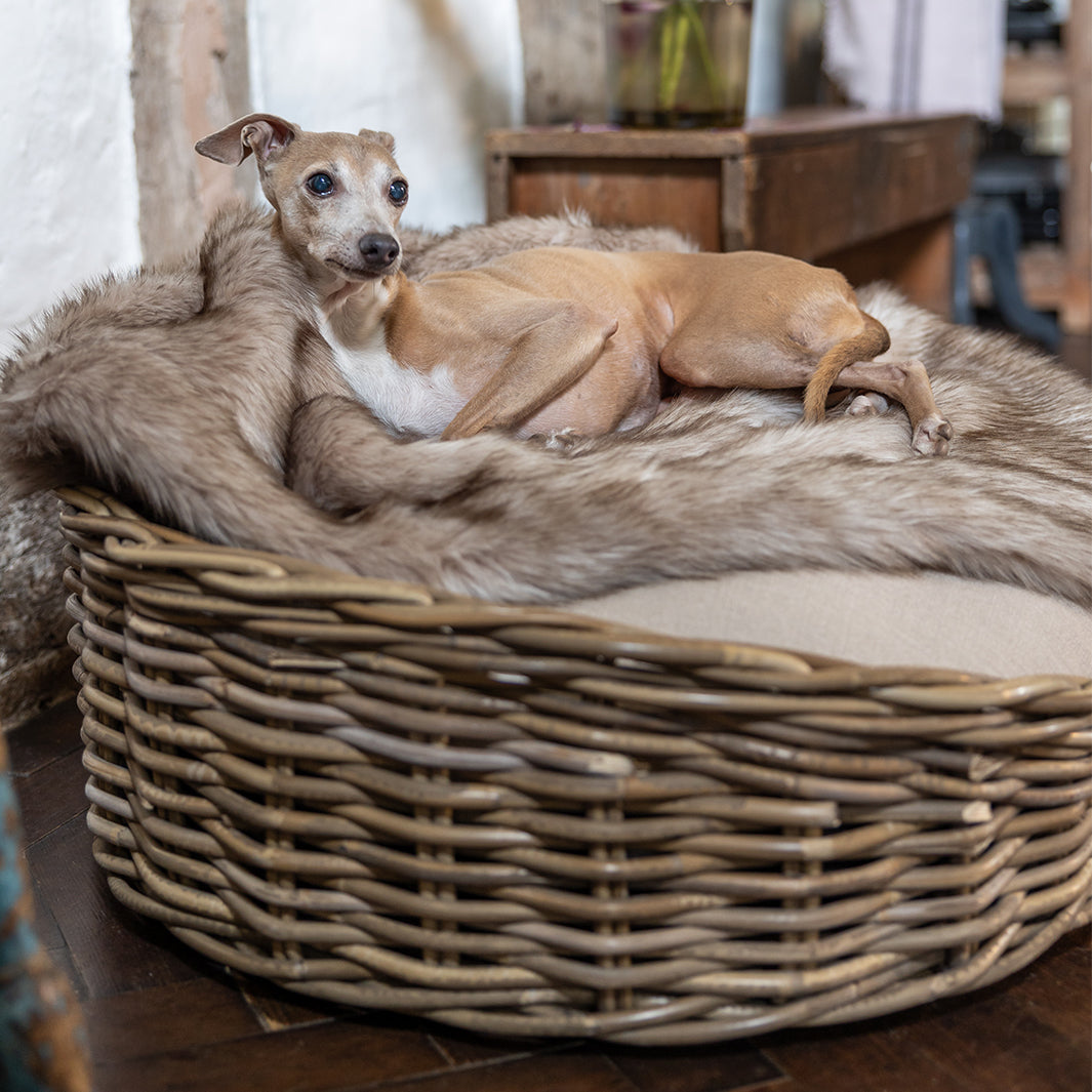 Charley Chau Oval Greywash Rattan Dog Basket and Mattress Set 
