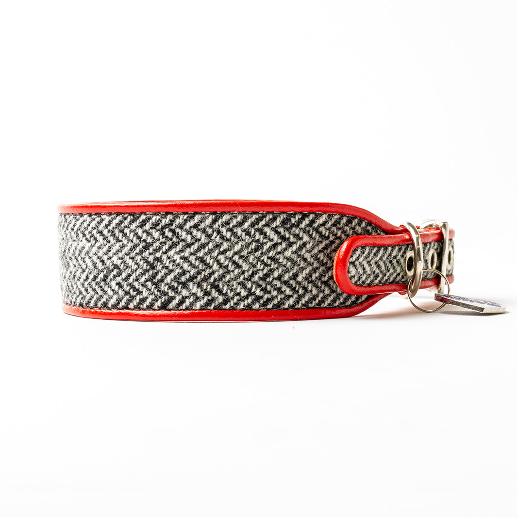 Holly&Lil Harris Tweed Sighthound Dog Collar