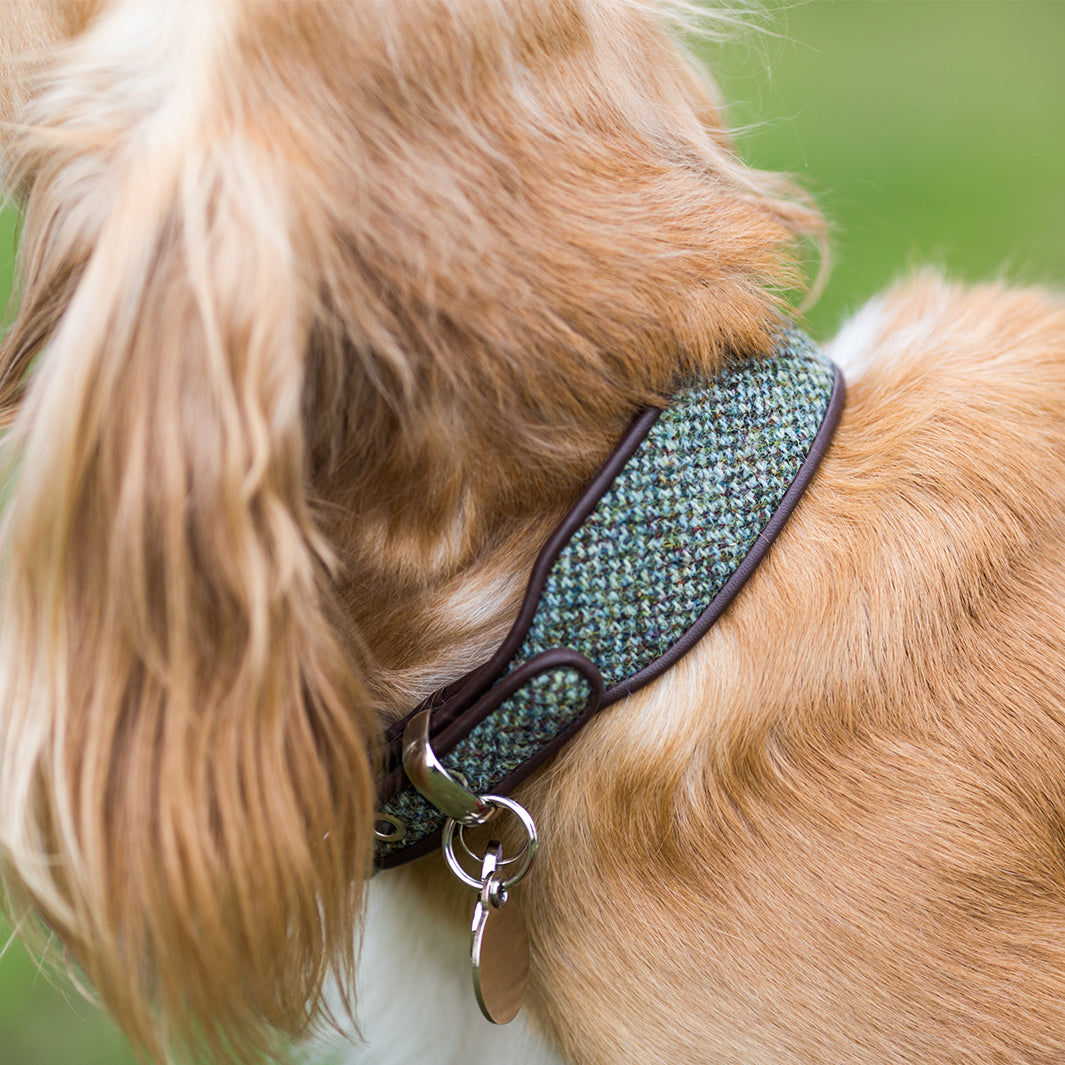 Holly&Lil Harris Tweed Classic Wide Dog Collar