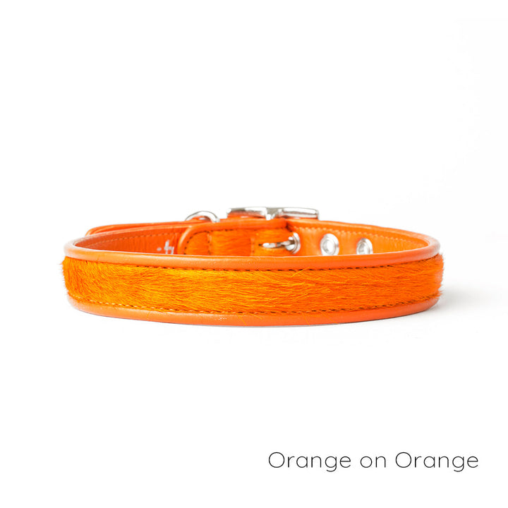 Holly&Lil Brightside Classic Slim dog Collar