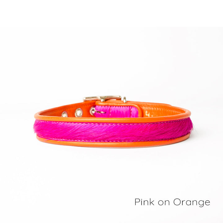 Holly&Lil Brightside Classic Slim dog Collar