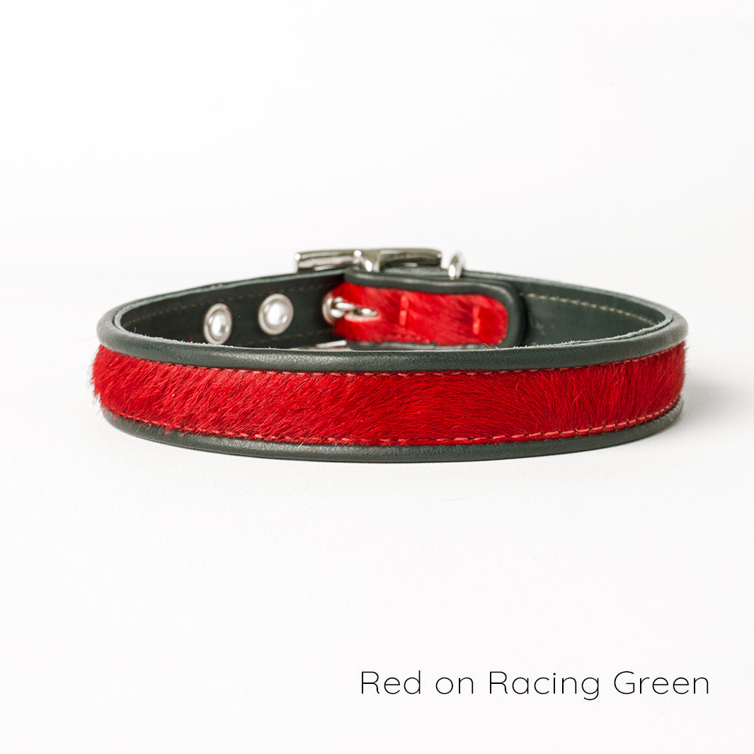 Holly&Lil Brightside Classic Slim dog Collar