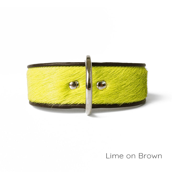 Holly&Lil Brightside Classic Wide Dog Collar